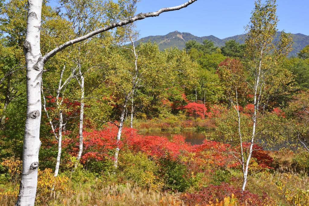 Nozaru Onsen Hostel Yamanouchi  Buitenkant foto